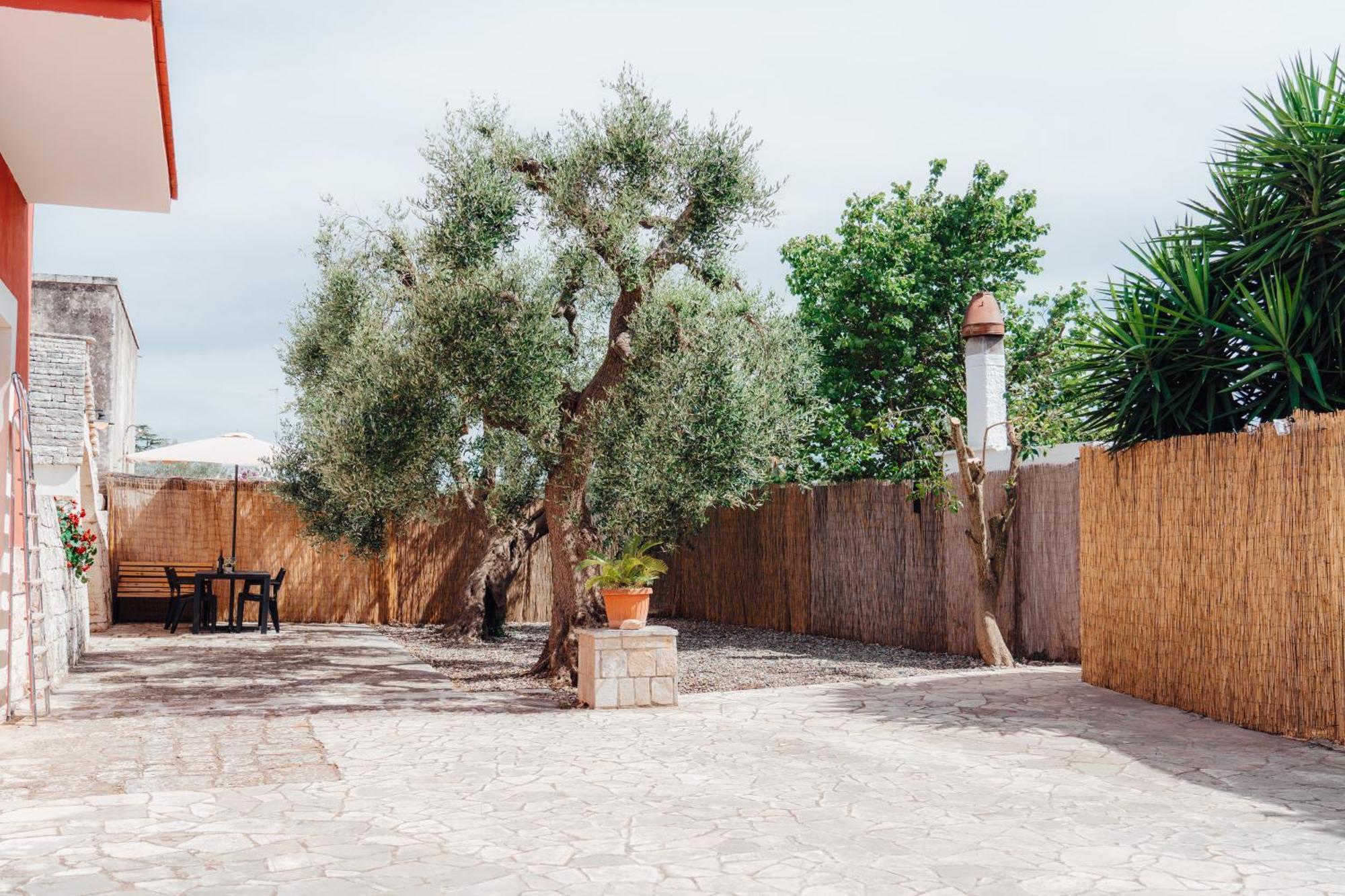 Loli Trulli - Guest House Castellana Grotte Esterno foto
